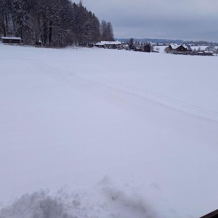 Haus Maier Apartment Marquartstein Bagian luar foto
